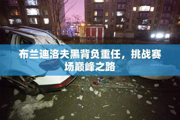 布兰迪洛夫黑背负重任，挑战赛场巅峰之路