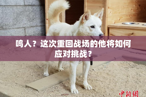 鸣人？这次重回战场的他将如何应对挑战？