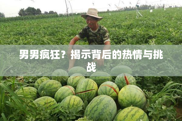 男男疯狂？揭示背后的热情与挑战