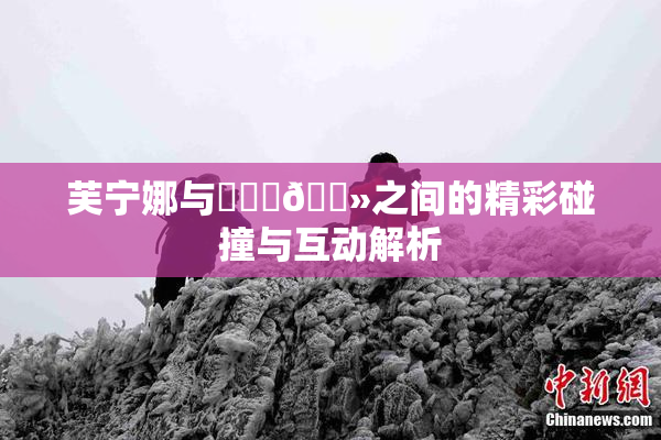 芙宁娜与❌‌‌🐻之间的精彩碰撞与互动解析