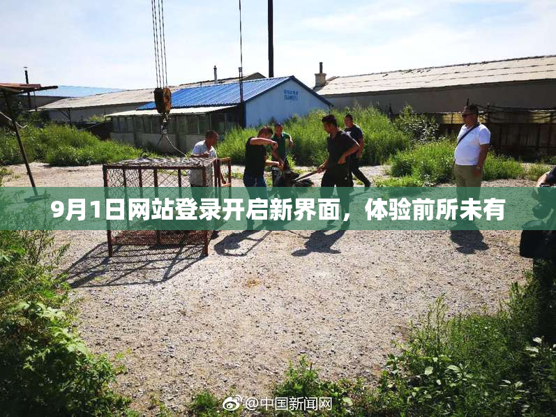 9月1日网站登录开启新界面，体验前所未有