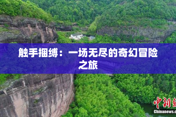 触手捆缚：一场无尽的奇幻冒险之旅