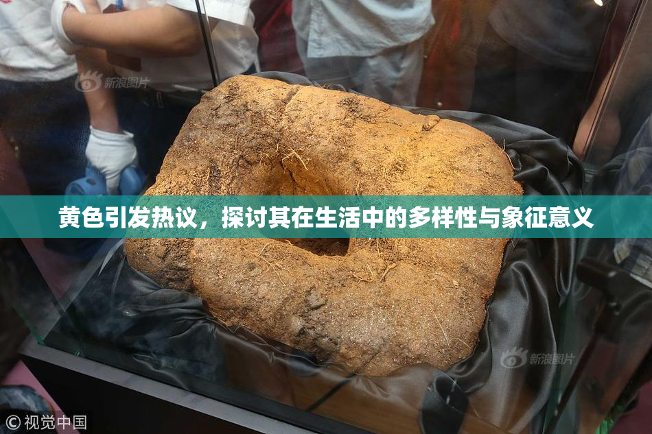 黄色引发热议，探讨其在生活中的多样性与象征意义