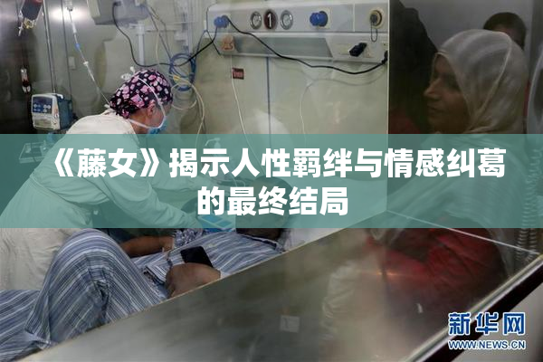 《藤女》揭示人性羁绊与情感纠葛的最终结局