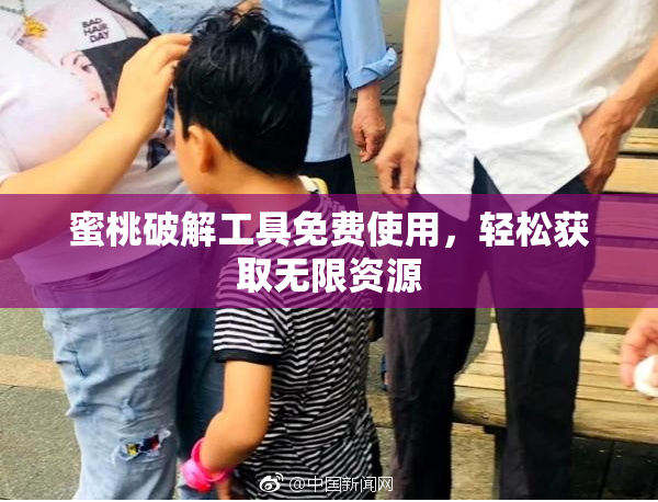 蜜桃破解工具免费使用，轻松获取无限资源
