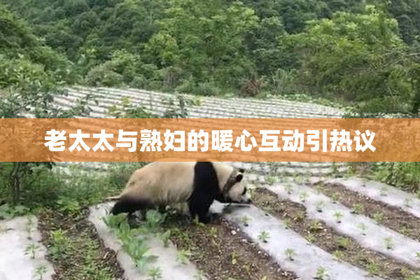 老太太与熟妇的暖心互动引热议