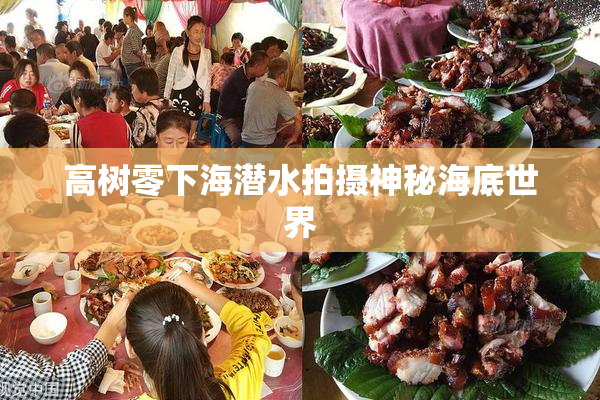 高树零下海潜水拍摄神秘海底世界