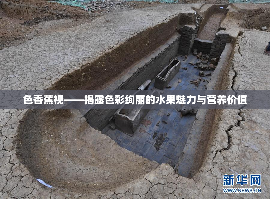 色香蕉视——揭露色彩绚丽的水果魅力与营养价值
