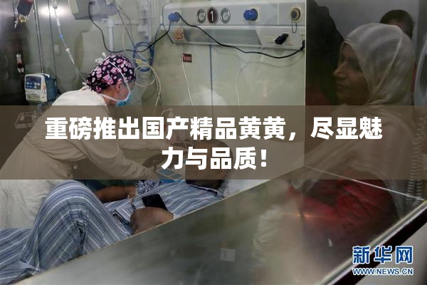 重磅推出国产精品黄黄，尽显魅力与品质！