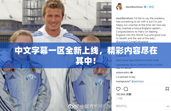 中文字幕一区全新上线，精彩内容尽在其中！