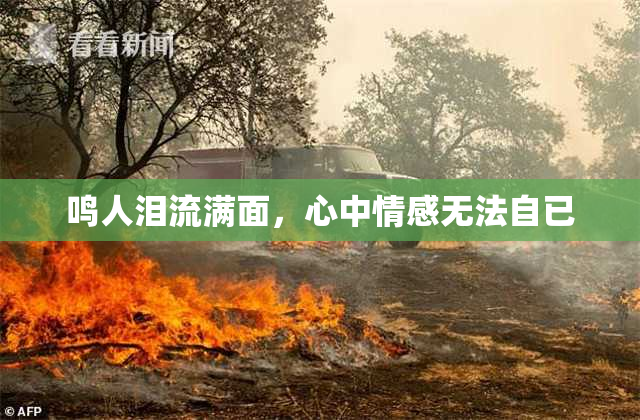 鸣人泪流满面，心中情感无法自已