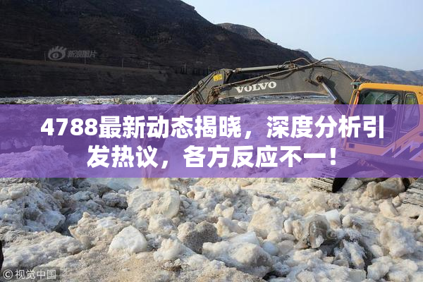 4788最新动态揭晓，深度分析引发热议，各方反应不一！