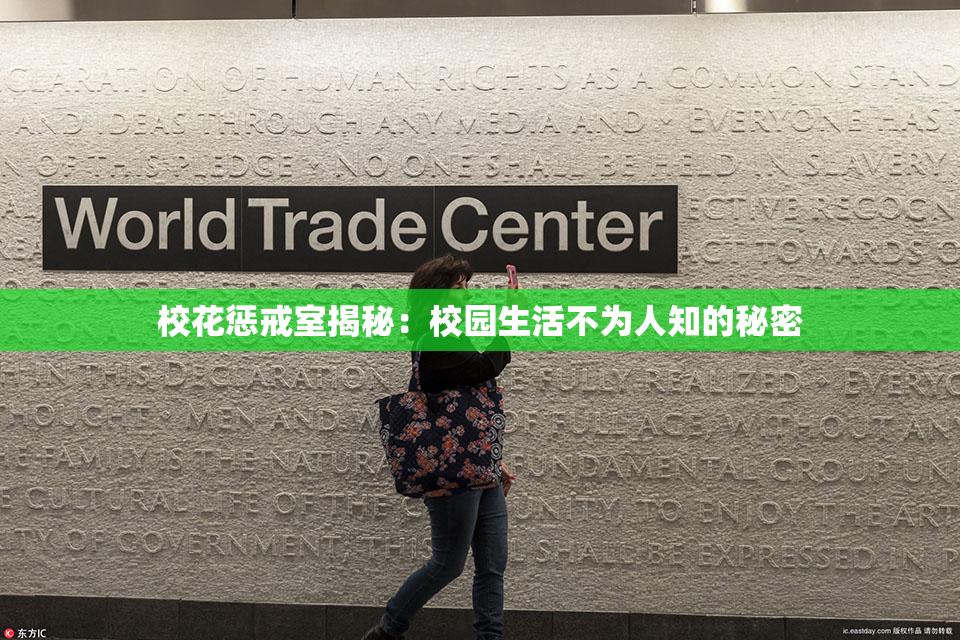 校花惩戒室揭秘：校园生活不为人知的秘密