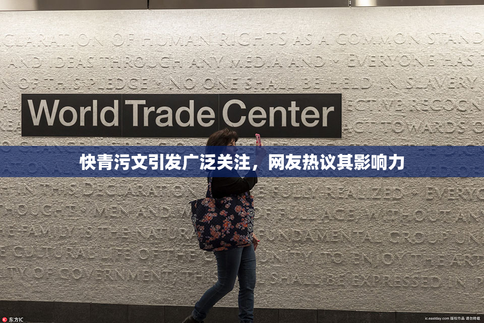 快青污文引发广泛关注，网友热议其影响力