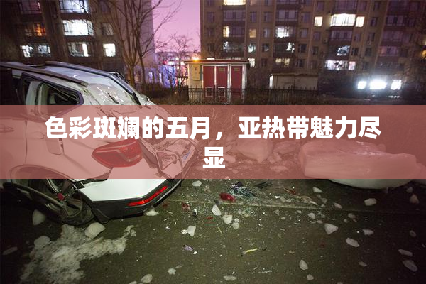 色彩斑斓的五月，亚热带魅力尽显