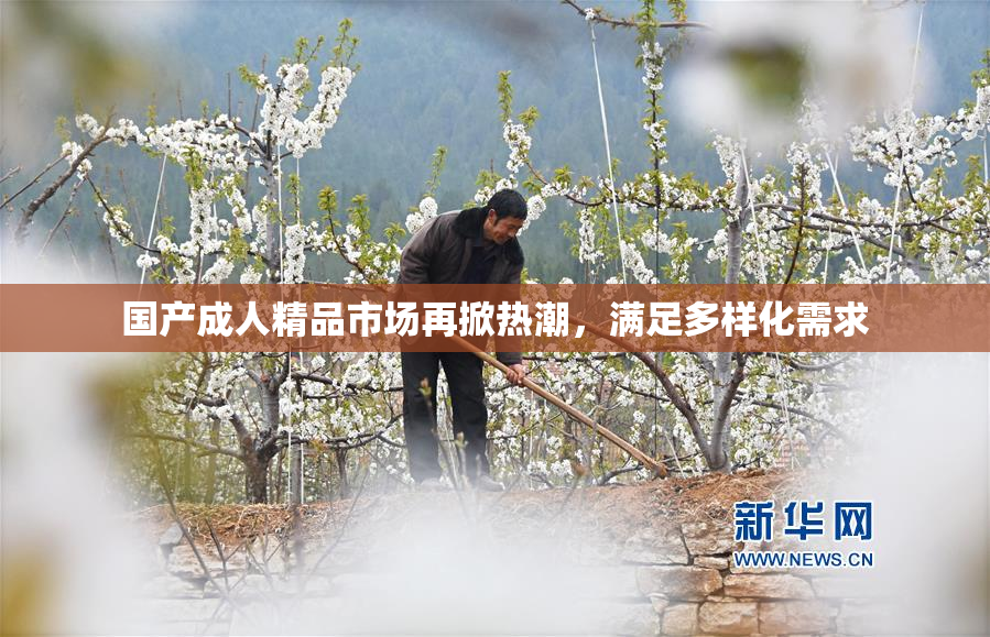 国产成人精品市场再掀热潮，满足多样化需求