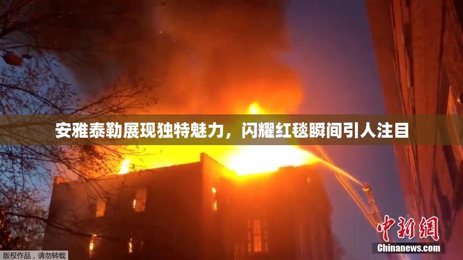 安雅泰勒展现独特魅力，闪耀红毯瞬间引人注目