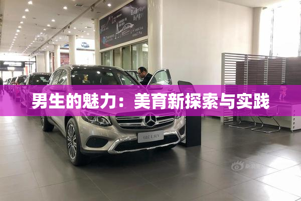 男生的魅力：美育新探索与实践
