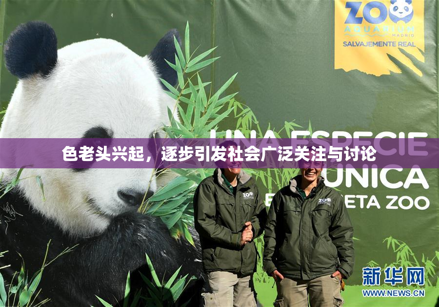 色老头兴起，逐步引发社会广泛关注与讨论