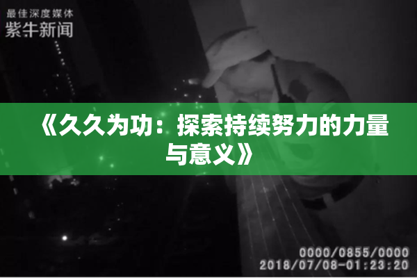 《久久为功：探索持续努力的力量与意义》