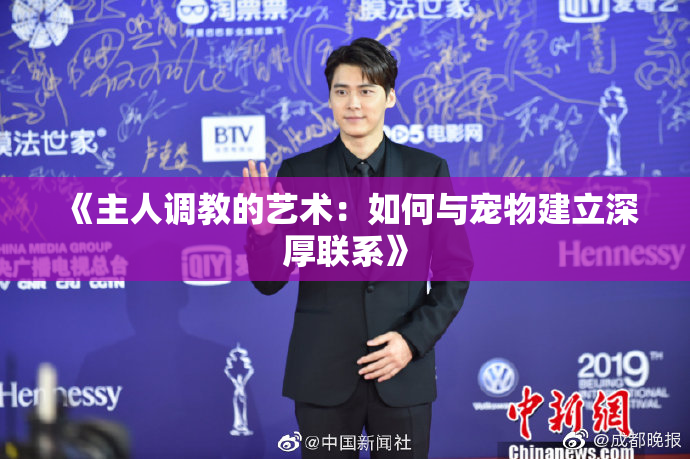 《主人调教的艺术：如何与宠物建立深厚联系》
