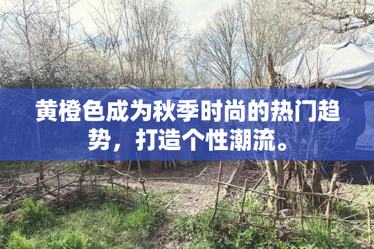 黄橙色成为秋季时尚的热门趋势，打造个性潮流。