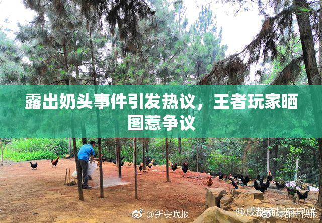 露出奶头事件引发热议，王者玩家晒图惹争议