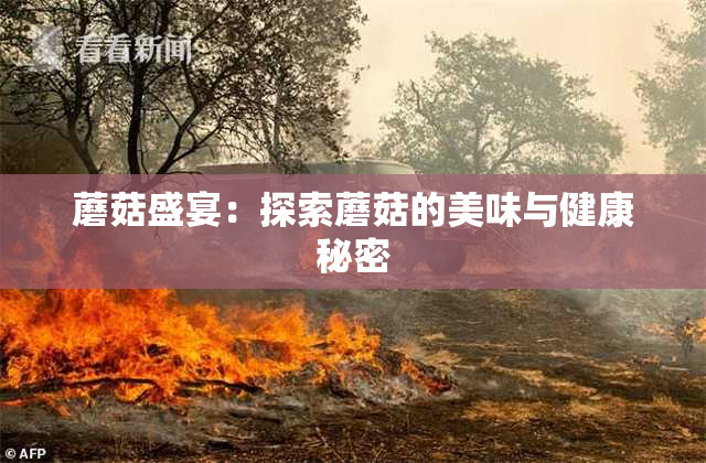 蘑菇盛宴：探索蘑菇的美味与健康秘密
