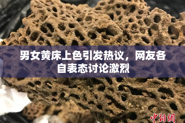 男女黄床上色引发热议，网友各自表态讨论激烈
