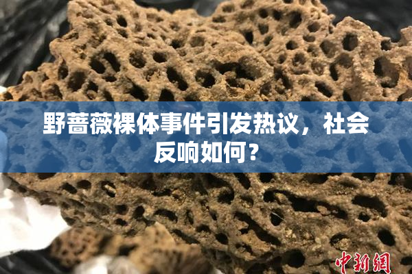 野蔷薇裸体事件引发热议，社会反响如何？