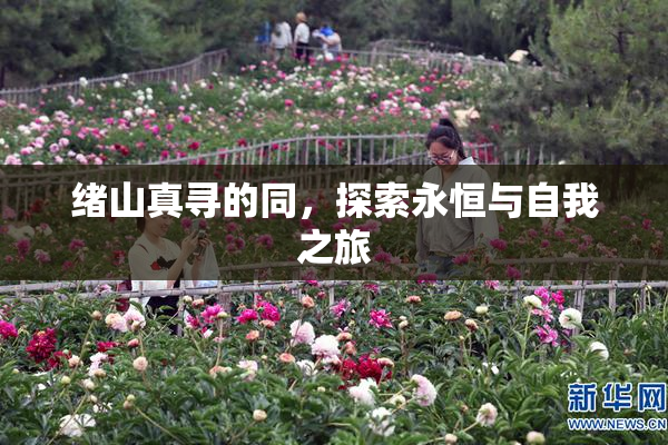 绪山真寻的同，探索永恒与自我之旅