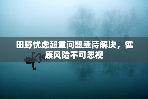 田野忧虑超重问题亟待解决，健康风险不可忽视