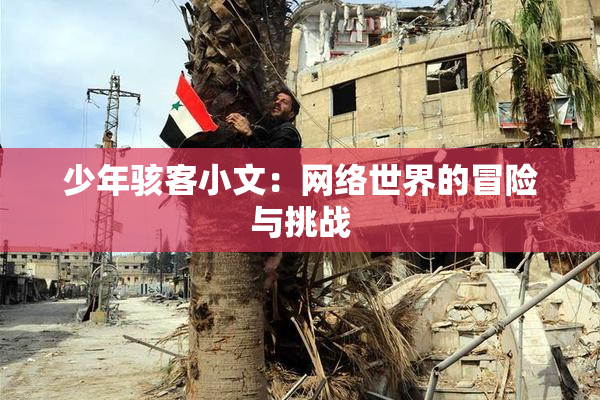 少年骇客小文：网络世界的冒险与挑战