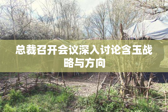 总裁召开会议深入讨论含玉战略与方向