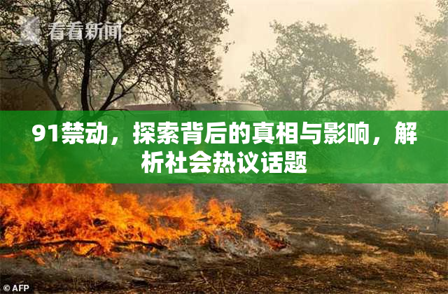 91禁动，探索背后的真相与影响，解析社会热议话题