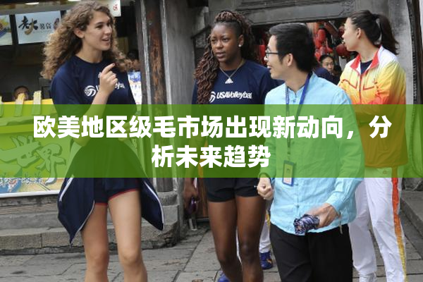欧美地区级毛市场出现新动向，分析未来趋势