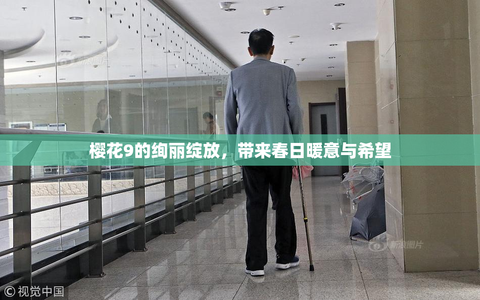 樱花9的绚丽绽放，带来春日暖意与希望