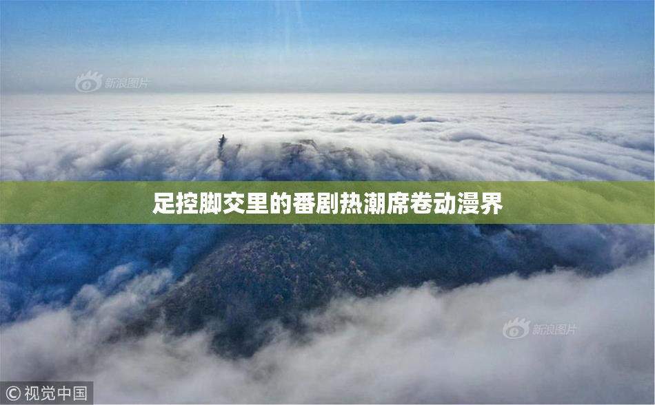 足控脚交里的番剧热潮席卷动漫界