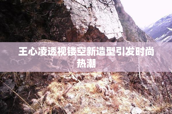 王心凌透视镂空新造型引发时尚热潮