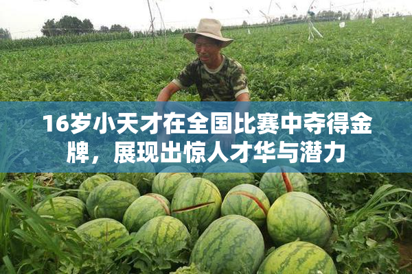 16岁小天才在全国比赛中夺得金牌，展现出惊人才华与潜力