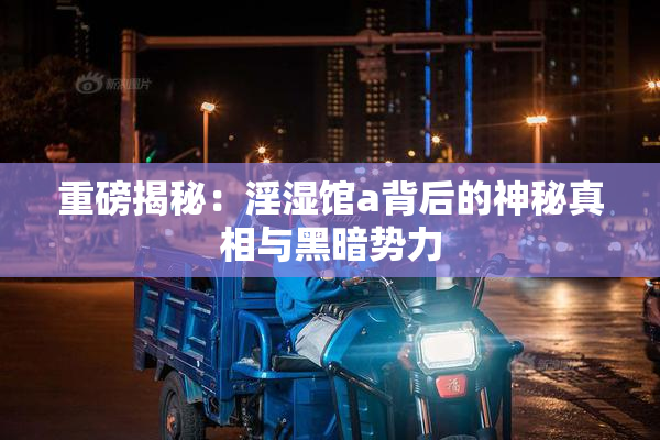 重磅揭秘：淫湿馆a背后的神秘真相与黑暗势力