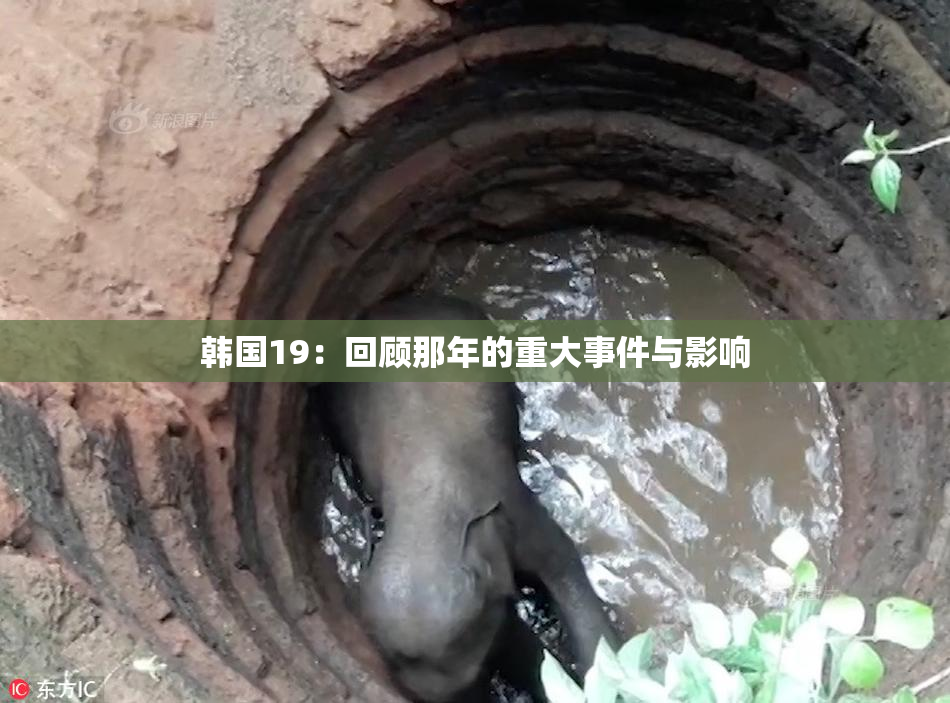 韩国19：回顾那年的重大事件与影响