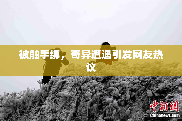 被触手绑，奇异遭遇引发网友热议