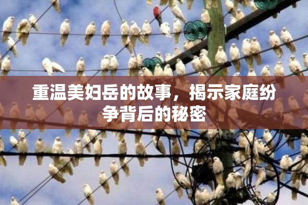 重温美妇岳的故事，揭示家庭纷争背后的秘密