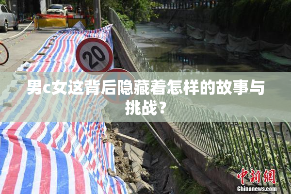 男c女这背后隐藏着怎样的故事与挑战？