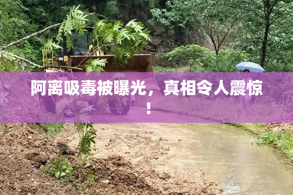 阿离吸毒被曝光，真相令人震惊！