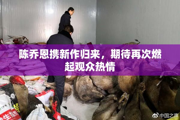 陈乔恩携新作归来，期待再次燃起观众热情