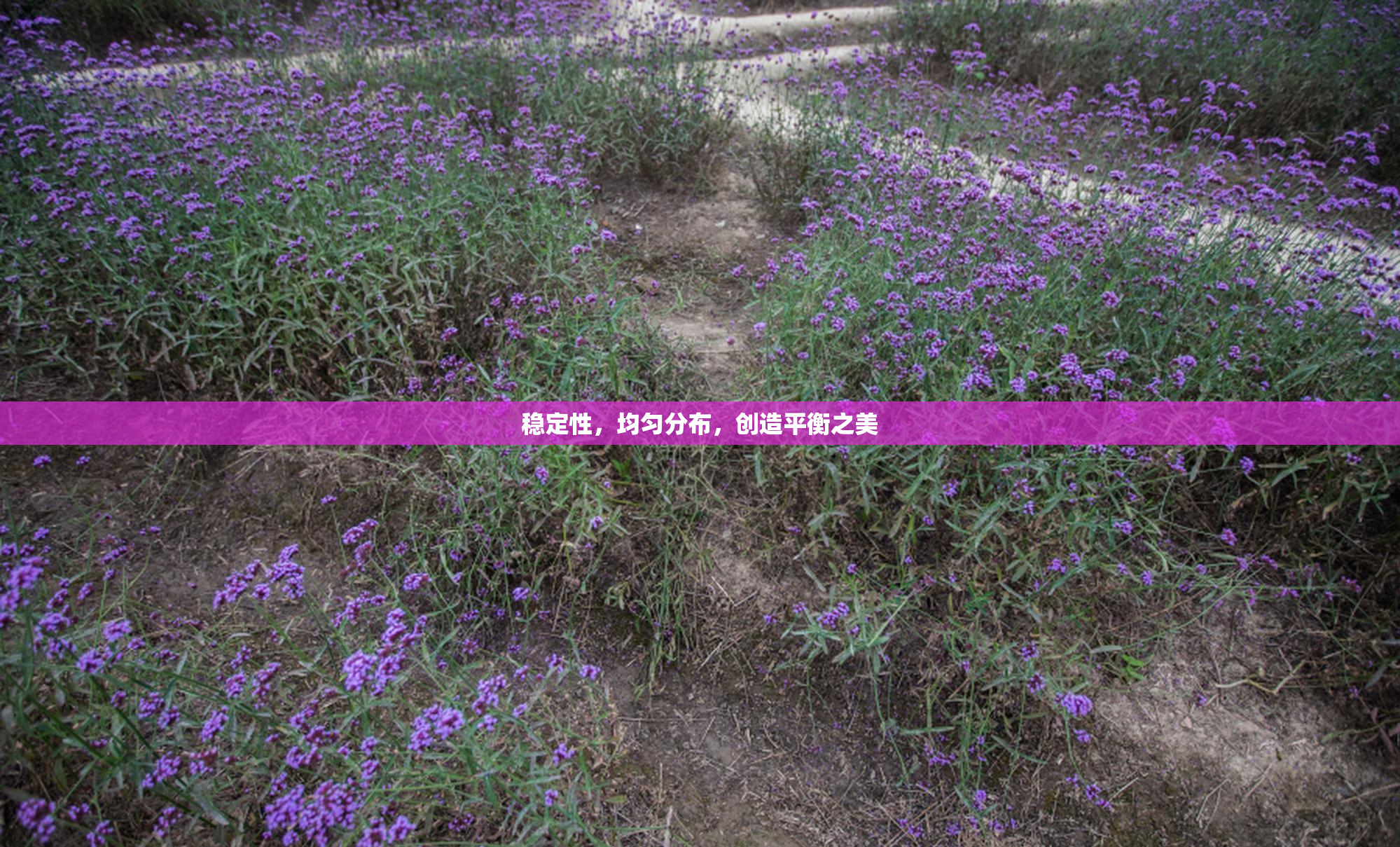 稳定性，均匀分布，创造平衡之美
