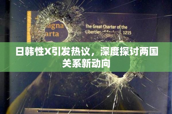 日韩性X引发热议，深度探讨两国关系新动向