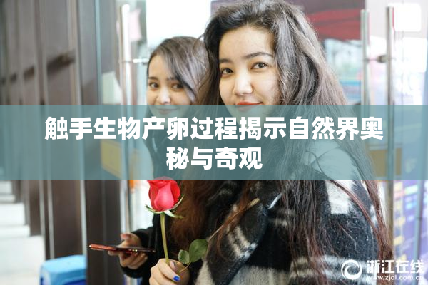 触手生物产卵过程揭示自然界奥秘与奇观